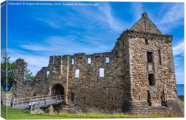 Entrance to St Andrews Castle, Kingdom of Fife Canvas Print by Angus McComiskey