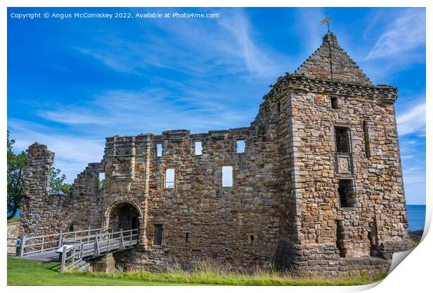 Entrance to St Andrews Castle, Kingdom of Fife Print by Angus McComiskey