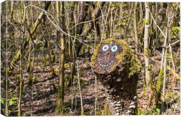 Smiling face on a tree stump Canvas Print by Jason Wells