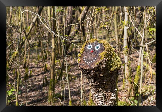 Smiling face on a tree stump Framed Print by Jason Wells