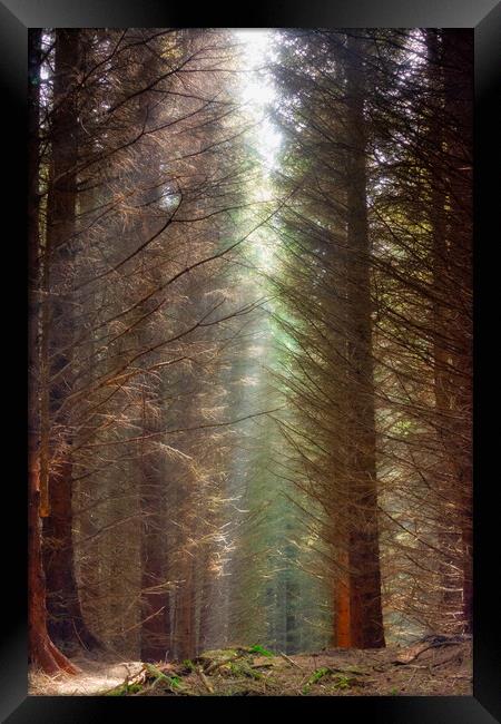 Illuminated Trail Framed Print by Stuart Jack