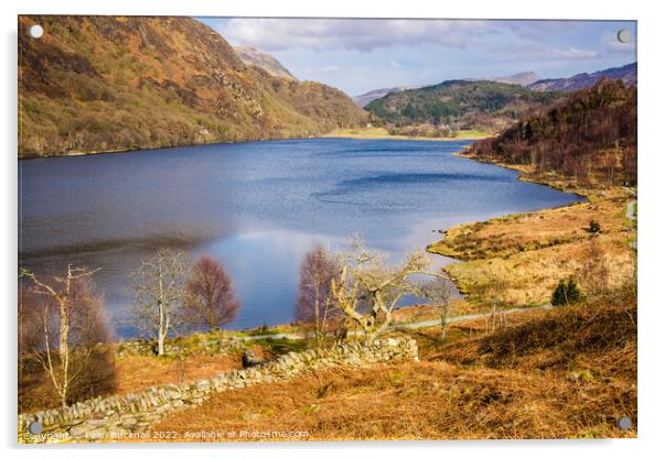 Llyn Dinas Lake Snowdonia Wales Acrylic by Pearl Bucknall