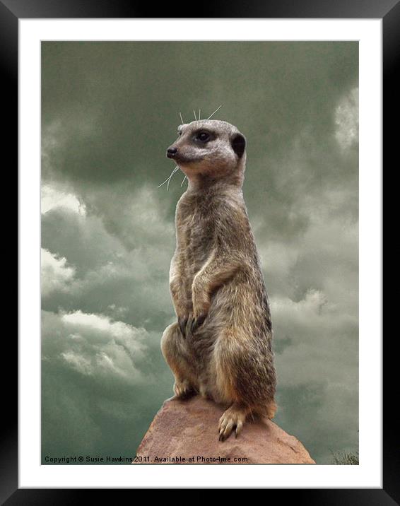 Meerkat - King of my World Framed Mounted Print by Susie Hawkins