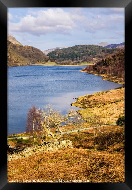 Llyn Dinas Lake Snowdonia Wales Framed Print by Pearl Bucknall