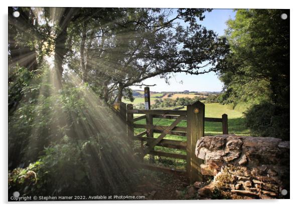 A South Devon Walk Acrylic by Stephen Hamer