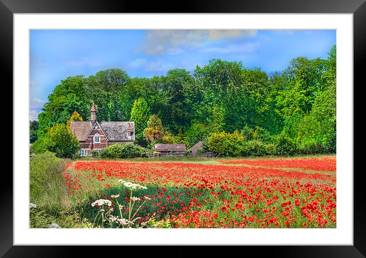 House With a View Framed Mounted Print by Ian Jeffrey