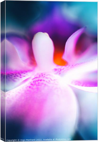 The mouth of an orchid closeup Canvas Print by Ingo Menhard