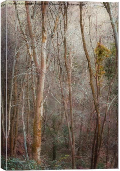 Woodland Dream Canvas Print by Christine Lake