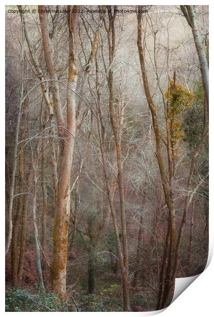 Woodland Dream Print by Christine Lake