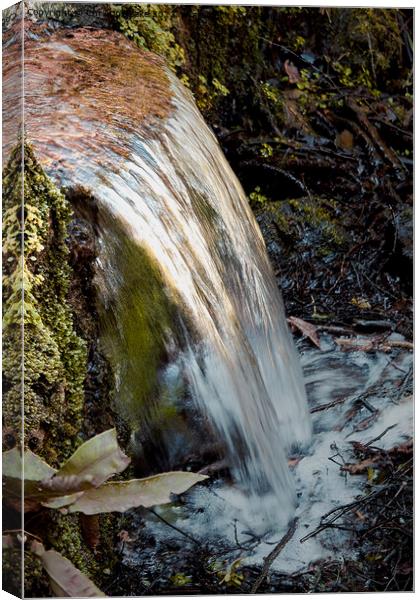 A Forest Waterfall Canvas Print by Christine Lake