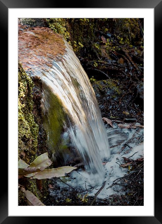 A Forest Waterfall Framed Mounted Print by Christine Lake