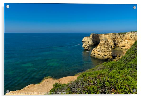 Cliffs and Vegetation in Marinha beach Acrylic by Angelo DeVal