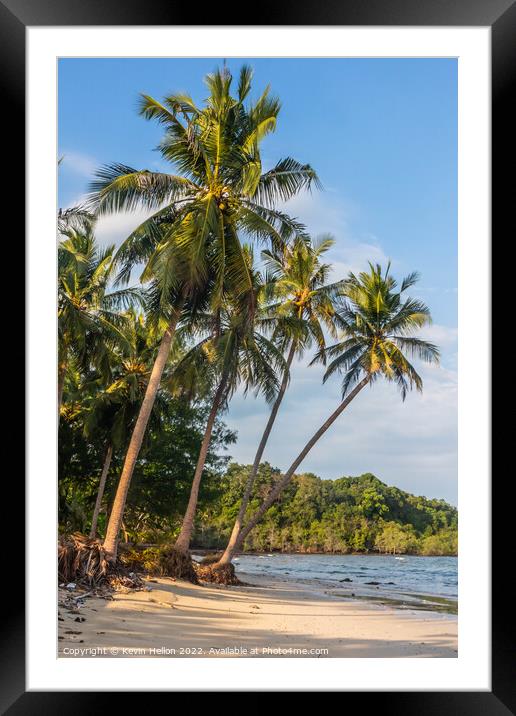 Tropical Palms Framed Mounted Print by Kevin Hellon
