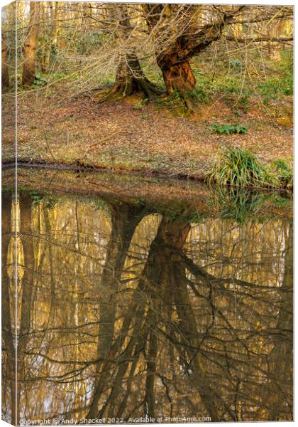 Reflections Canvas Print by Andy Shackell