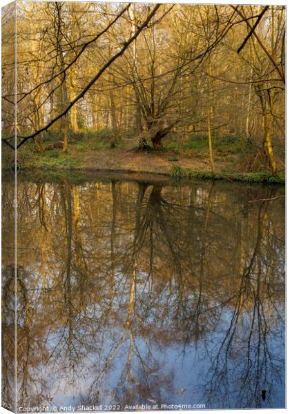 seeing double Canvas Print by Andy Shackell