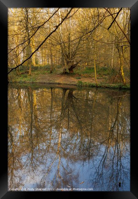 seeing double Framed Print by Andy Shackell