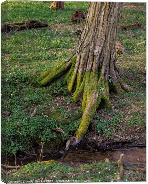 Having a Drink Canvas Print by Andy Shackell