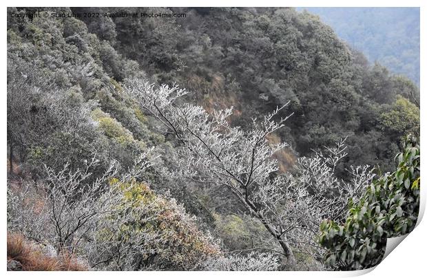 Ice trees in Xihu mountains Print by Stan Lihai