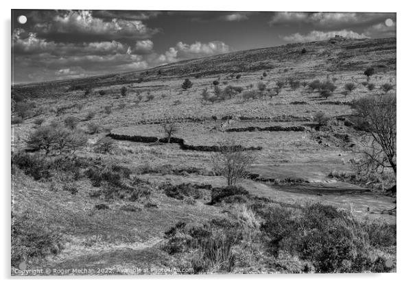Abandoned Farmstead on Dartmoor Acrylic by Roger Mechan
