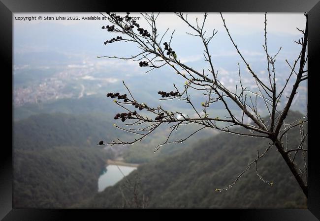 Ice tree in Xihu mountains Framed Print by Stan Lihai