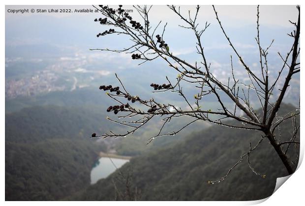 Ice tree in Xihu mountains Print by Stan Lihai