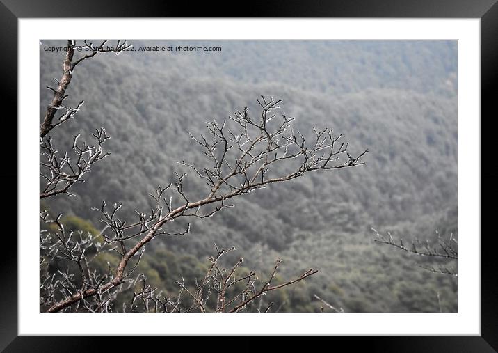 Icy trees in Xihu mountains Framed Mounted Print by Stan Lihai