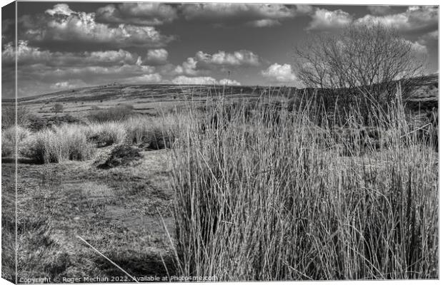 Moorland's Lonely Majesty Canvas Print by Roger Mechan