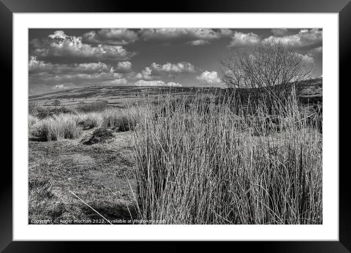 Moorland's Lonely Majesty Framed Mounted Print by Roger Mechan