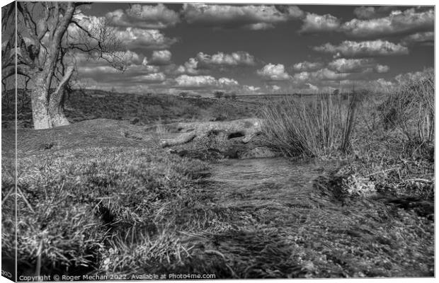 Serenity in Monochrome Canvas Print by Roger Mechan