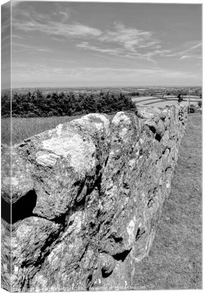 The Mighty Wall of Dartmoor Canvas Print by Roger Mechan