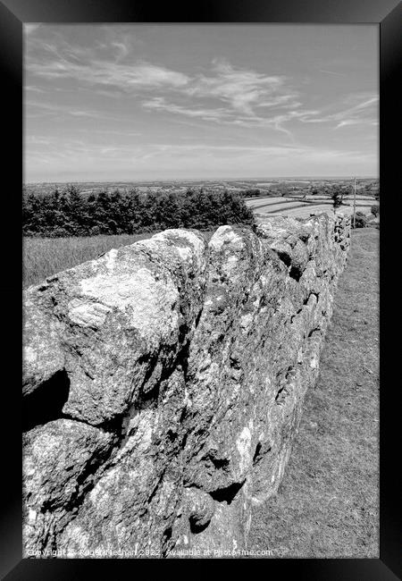 The Mighty Wall of Dartmoor Framed Print by Roger Mechan