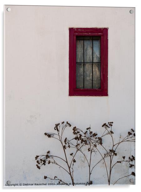 Red Window and White Wall Acrylic by Dietmar Rauscher