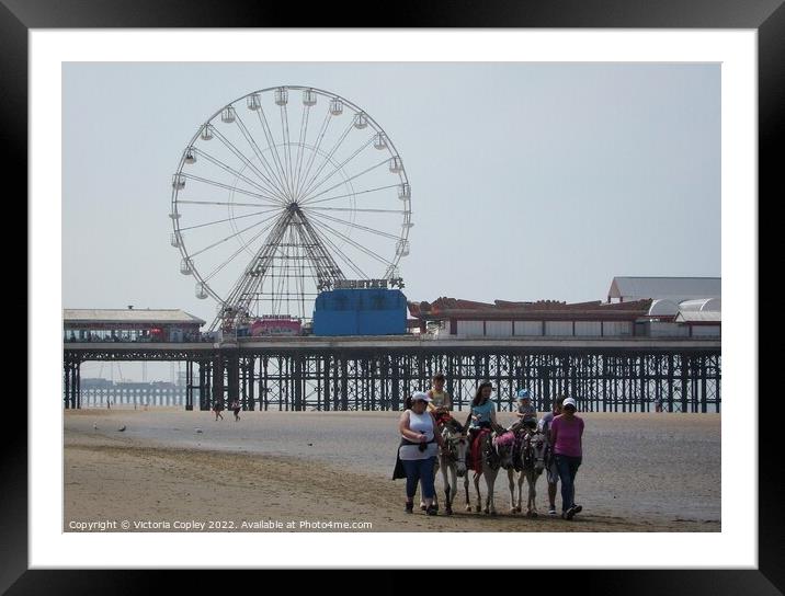 Blackpool beach donkeys Framed Mounted Print by Victoria Copley