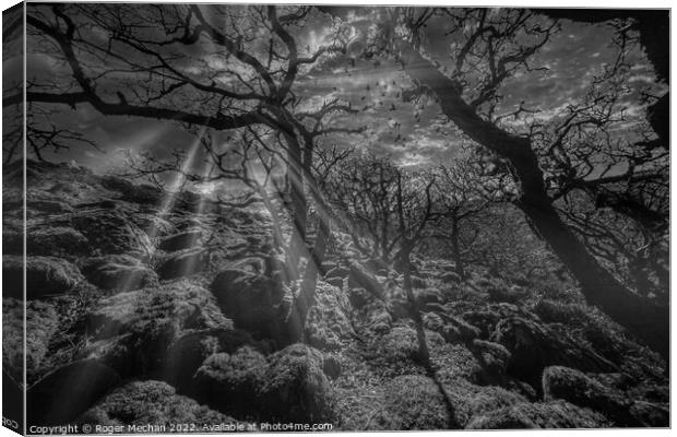 Dartmoor in black and white. Mystical woodland at  Canvas Print by Roger Mechan