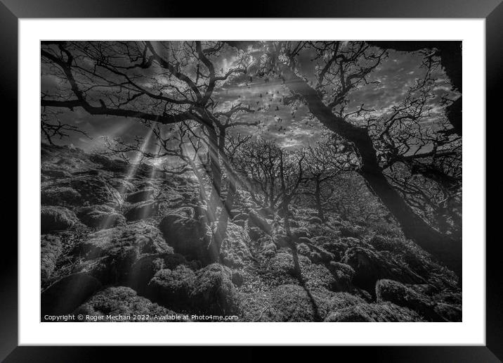 Dartmoor in black and white. Mystical woodland at  Framed Mounted Print by Roger Mechan