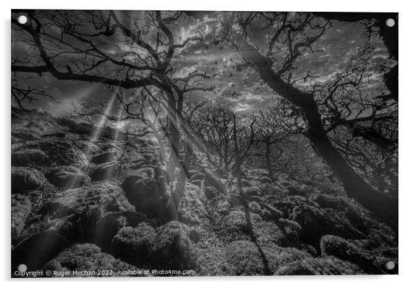 Dartmoor in black and white. Mystical woodland at  Acrylic by Roger Mechan
