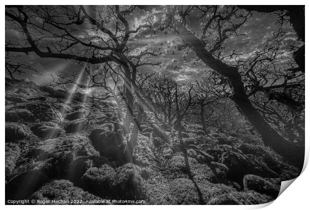 Dartmoor in black and white. Mystical woodland at  Print by Roger Mechan