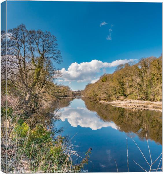 River Tees Mirror at Wycliffe in Early Spring Sunshine Canvas Print by Richard Laidler