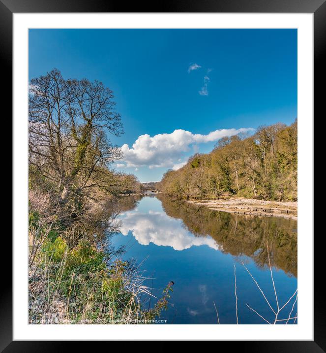 River Tees Mirror at Wycliffe in Early Spring Sunshine Framed Mounted Print by Richard Laidler