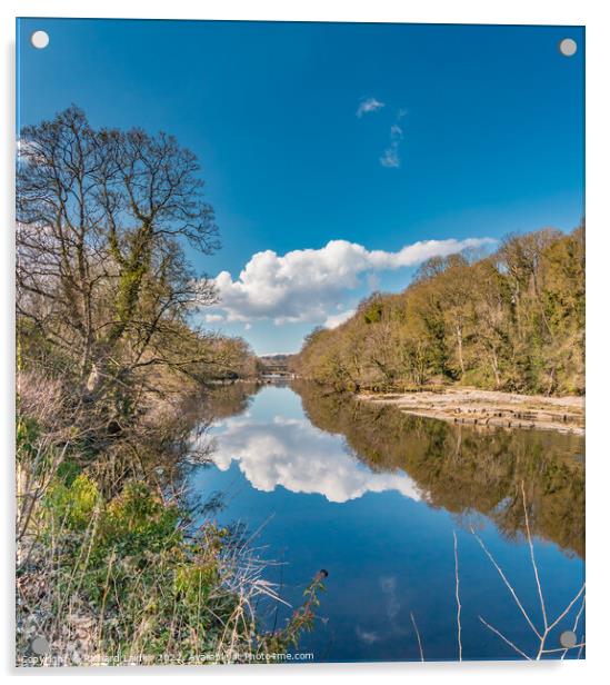 River Tees Mirror at Wycliffe in Early Spring Sunshine Acrylic by Richard Laidler