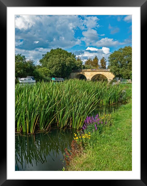 Swinford Bridge, Eynsham Framed Mounted Print by Joyce Storey