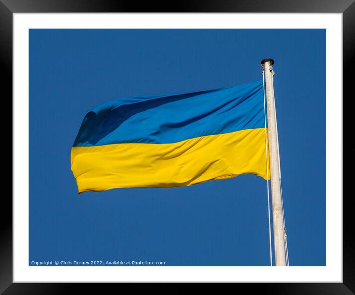 Ukraine Flag Framed Mounted Print by Chris Dorney