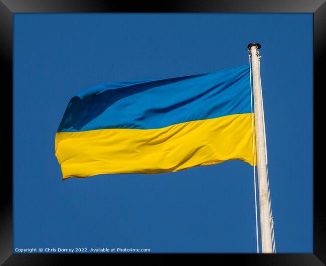 Ukraine Flag Framed Print by Chris Dorney