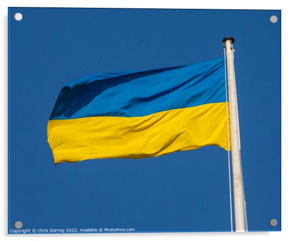Ukraine Flag Acrylic by Chris Dorney