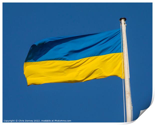 Ukraine Flag Print by Chris Dorney