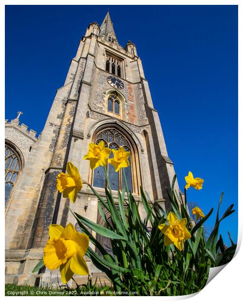 St. Marys Church and Daffodils in Saffron Walden, Essex, UK Print by Chris Dorney