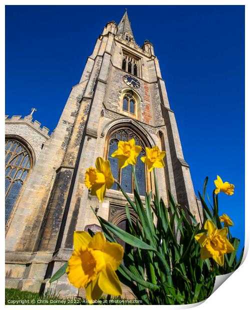 St. Marys Church and Daffodils in Saffron Walden, Essex, UK Print by Chris Dorney