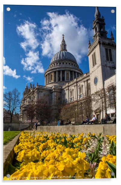 St. Pauls Cathedral in the Spring, in London, UK Acrylic by Chris Dorney