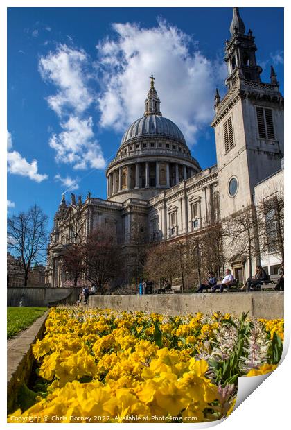 St. Pauls Cathedral in the Spring, in London, UK Print by Chris Dorney