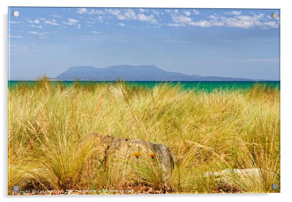 Maria Island - Tasmania Acrylic by Laszlo Konya